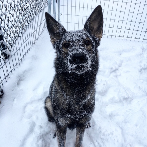 Meet your Posher, Dagmar - Picture 1 of 1